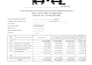 do professional bookkeeping, accounting